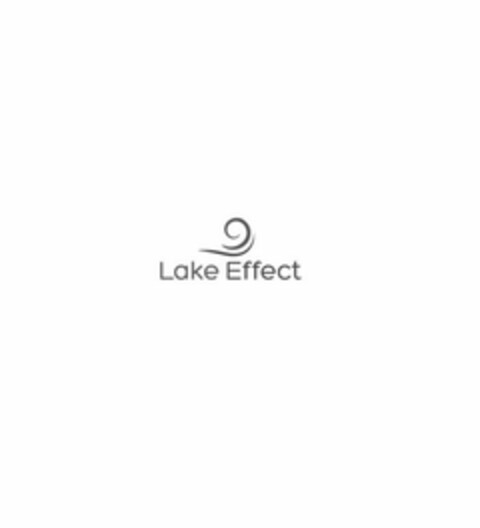 LAKE EFFECT Logo (USPTO, 15.02.2018)