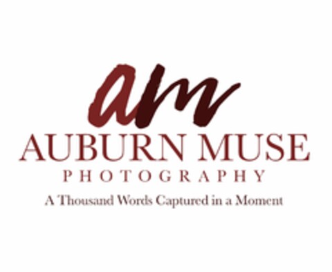 AM AUBURN MUSE PHOTOGRAPHY A THOUSAND WORDS CAPTURED IN A MOMENT Logo (USPTO, 23.07.2020)