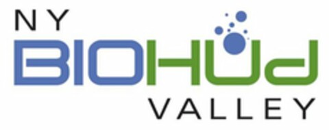NY BIOHUD VALLEY Logo (USPTO, 06.08.2010)