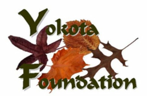 YOKOTA FOUNDATION Logo (USPTO, 04/06/2011)