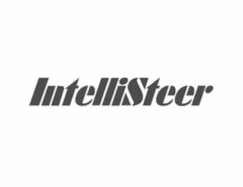 INTELLISTEER Logo (USPTO, 22.01.2020)