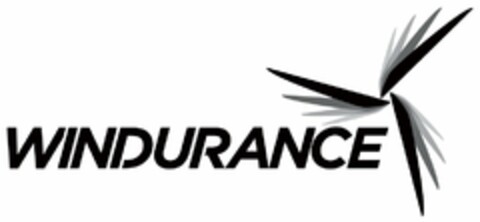 WINDURANCE Logo (USPTO, 03/04/2010)