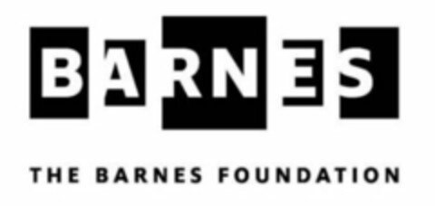 BARNES THE BARNES FOUNDATION Logo (USPTO, 08.04.2010)