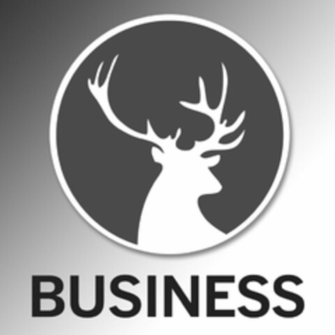 BUSINESS Logo (USPTO, 10/07/2013)