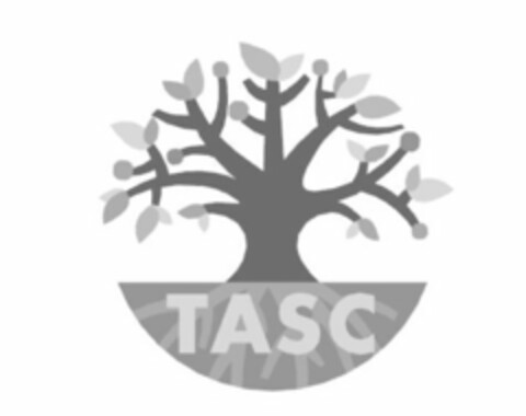 TASC Logo (USPTO, 11/22/2013)