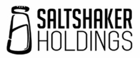 SALTSHAKER HOLDINGS Logo (USPTO, 16.11.2015)