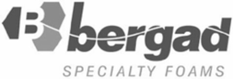 B BERGAD SPECIALTY FOAMS Logo (USPTO, 14.10.2018)