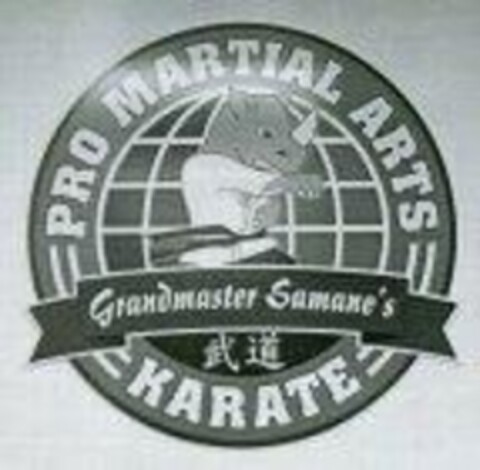 GRANDMASTER SAMANE'S PRO MARTIAL ARTS KARATE Logo (USPTO, 06/08/2020)
