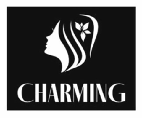 CHARMING Logo (USPTO, 30.07.2020)