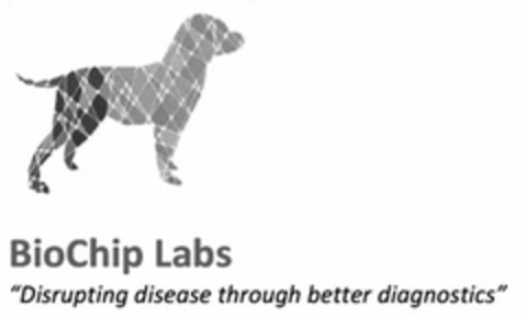 BIOCHIP LABS "DISRUPTING DISEASE THROUGH BETTER DIAGNOSTICS" Logo (USPTO, 31.08.2020)