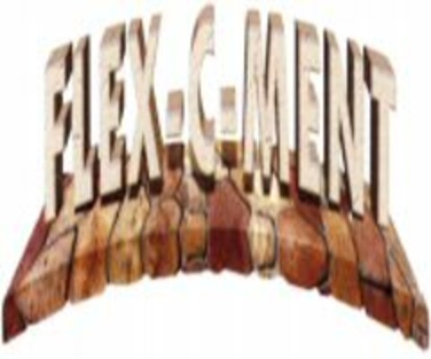 FLEX.C.MENT Logo (WIPO, 10.08.2010)