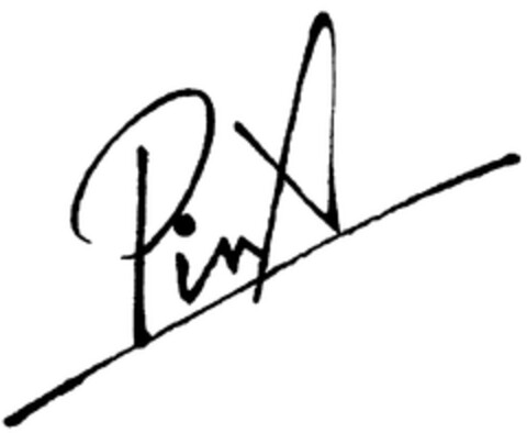PinX Logo (WIPO, 12.01.2010)