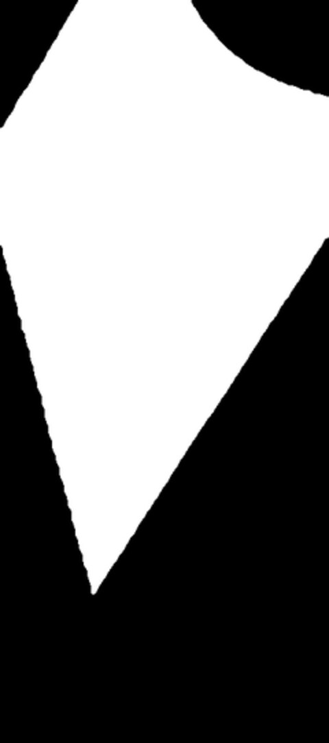 302010028671.7/05 Logo (WIPO, 11.11.2010)