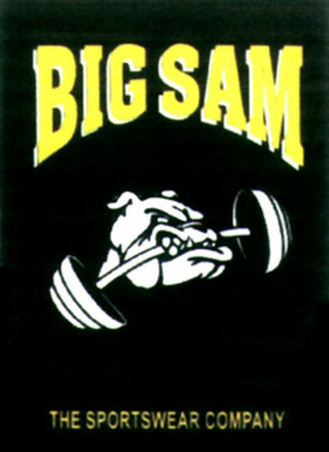 BIG SAM THE SPORTSWEAR COMPANY Logo (WIPO, 12.11.2010)