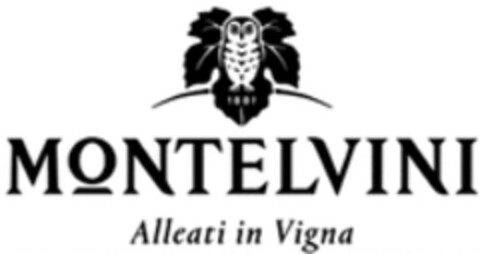 MONTELVINI Alleati in Vigna Logo (WIPO, 19.01.2018)