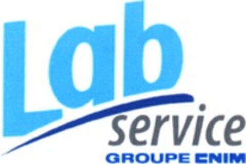 Lab service GROUPE CNIM Logo (WIPO, 05.03.2010)