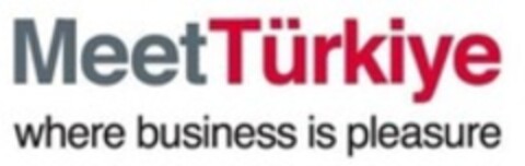 Meet Türkiye where business is pleasure Logo (WIPO, 25.07.2022)