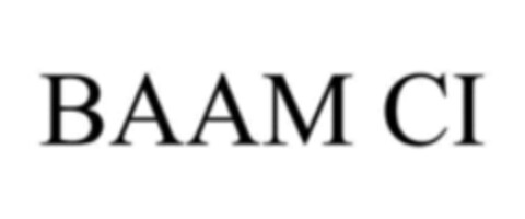 BAAM CI Logo (WIPO, 20.08.2015)