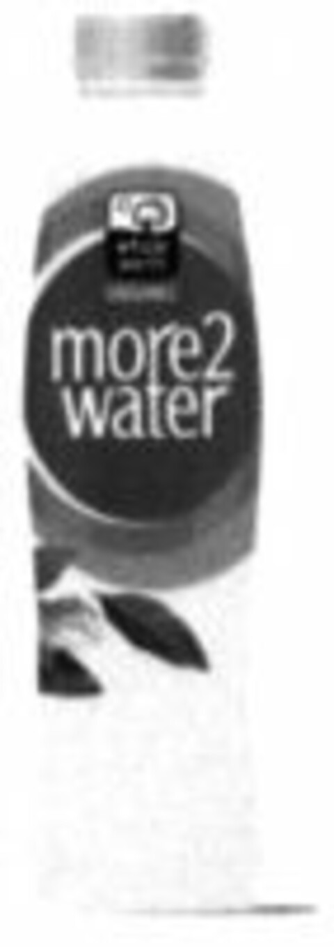 more2water whole earth Logo (WIPO, 20.03.2009)