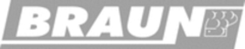 BRAUN Logo (WIPO, 10.01.2017)