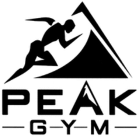 PEAK GYM Logo (WIPO, 15.11.2018)