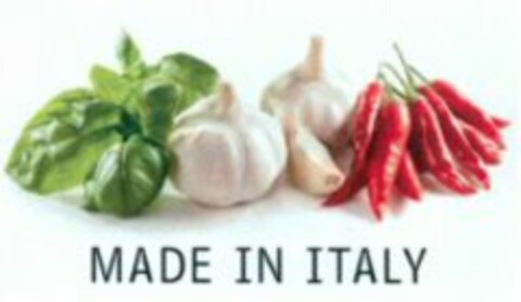 MADE IN ITALY Logo (WIPO, 08/28/2006)