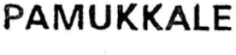 PAMUKKALE Logo (WIPO, 06.12.2022)