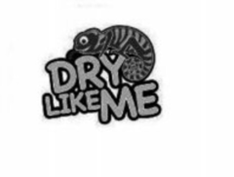 DRY LIKE ME Logo (WIPO, 21.12.2010)