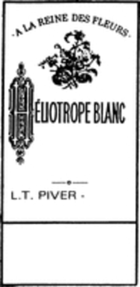 A LA REINE DES FLEURS HÉLIOTROPE BLANC L.T. PIVER Logo (WIPO, 15.12.1997)