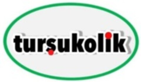 turşukolik Logo (WIPO, 13.04.2020)