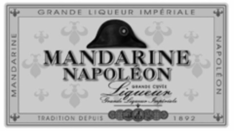 MANDARINE NAPOLEON Logo (WIPO, 31.01.2011)