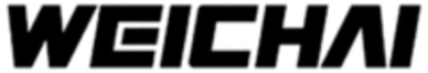 WEICHAI Logo (WIPO, 07.06.2023)