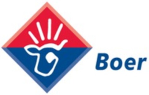 Boer Logo (WIPO, 04.01.2016)