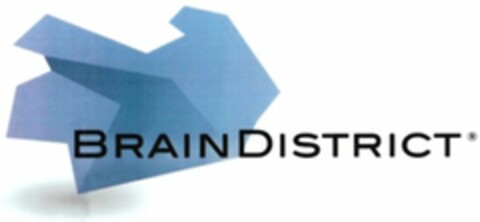 BRAINDISTRICT Logo (WIPO, 27.01.2010)