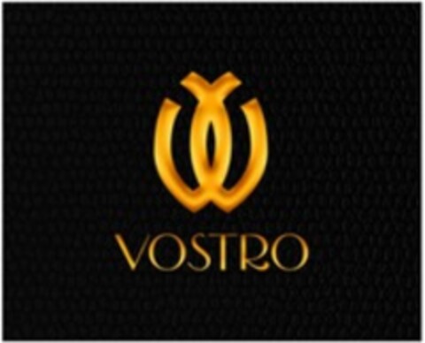 VOSTRO Logo (WIPO, 16.08.2022)