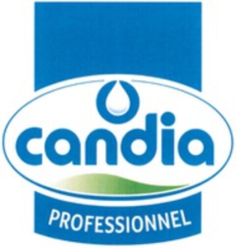 candia PROFESSIONNEL Logo (WIPO, 12/30/2014)