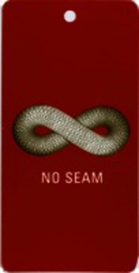 NO SEAM Logo (WIPO, 07.02.2008)