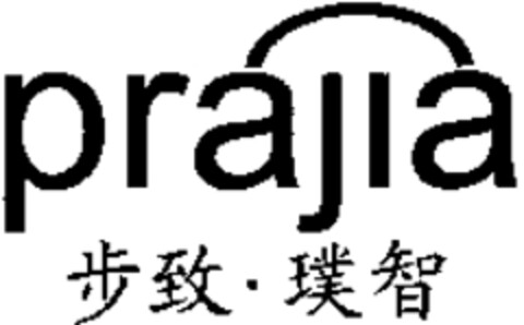 prajia Logo (WIPO, 05/17/2011)