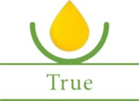 True Logo (WIPO, 01.04.2021)