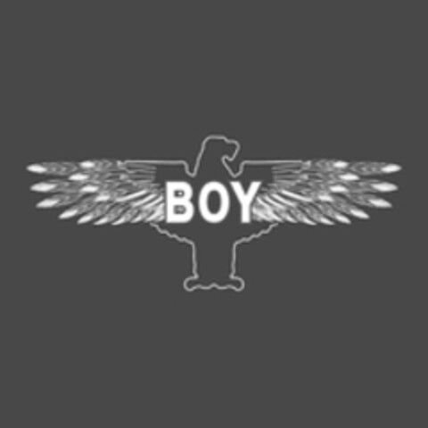 BOY Logo (WIPO, 01/23/2018)