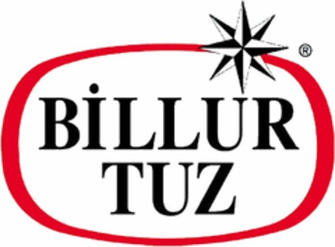 BILLUR TUZ Logo (WIPO, 21.03.2019)