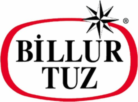 BILLUR TUZ Logo (WIPO, 03/21/2019)