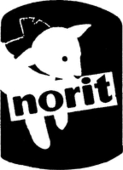 norit Logo (WIPO, 05/29/1998)