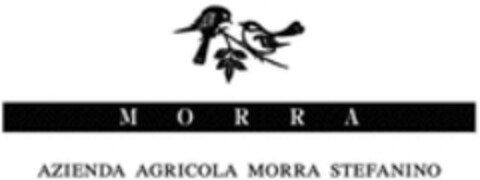 MORRA AZIENDA AGRICOLA MORRA STEFANINO Logo (WIPO, 13.02.2020)