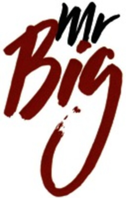 Mr Big Logo (WIPO, 28.12.2017)