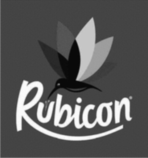 Rubicon Logo (WIPO, 11/06/2020)