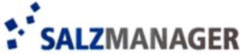 SALZMANAGER Logo (WIPO, 06.06.2007)