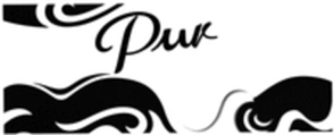 Pur Logo (WIPO, 11.08.2016)