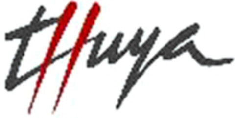 tHuya Logo (WIPO, 07/02/2013)