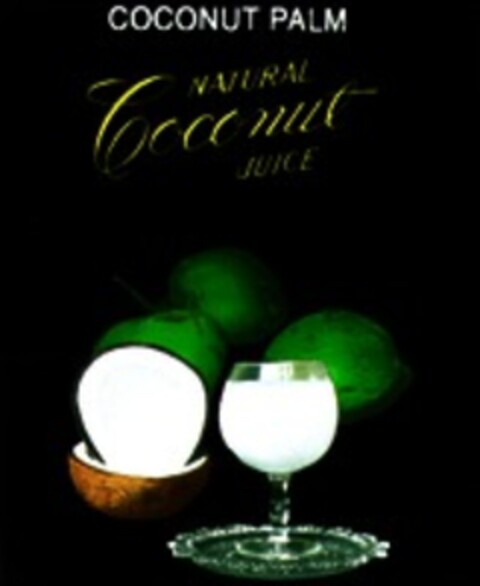 COCONUT PALM NATURAL Coconut JUICE Logo (WIPO, 15.12.1998)